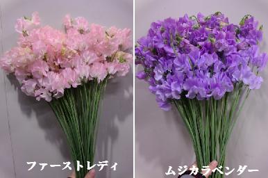ピー5