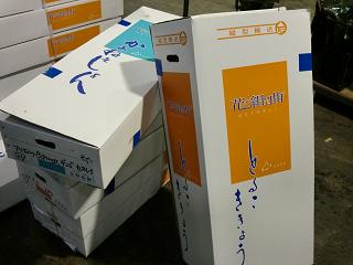 庄野カーネトルコ