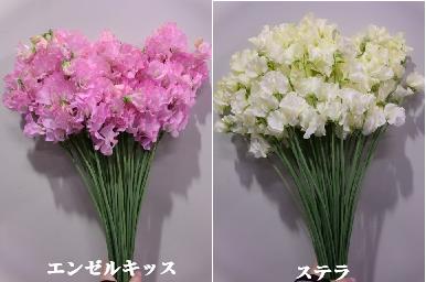 ピー6
