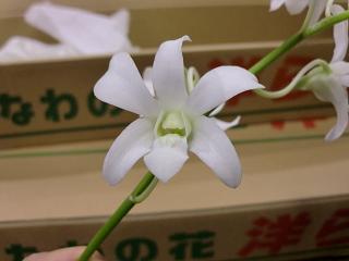 CIMG9076