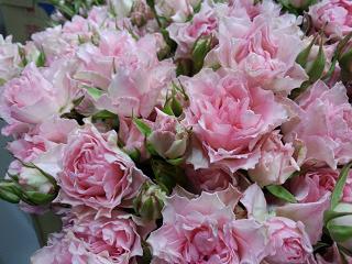 IMG_20121105_164857