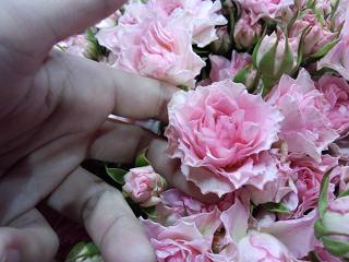 IMG_20121105_164912