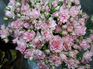 IMG_20121105_164932
