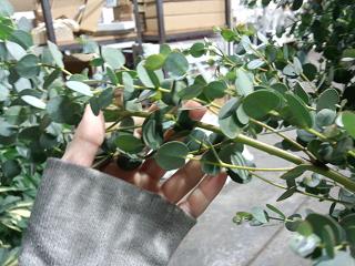 IMG_20121108_211922