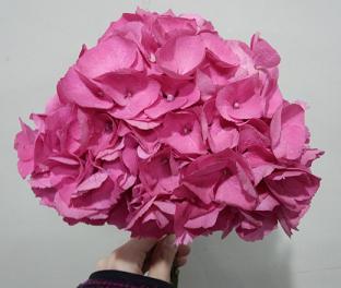 IMG_20130108_223247