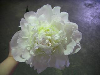 0626