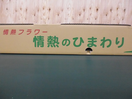 いわみざわ農協のひまわり