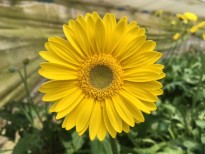 IMG_4640